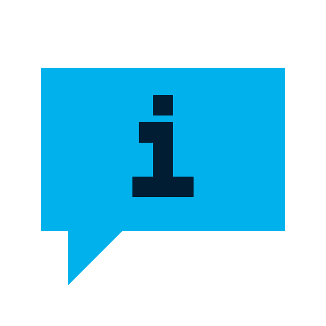 Icon F24 Information