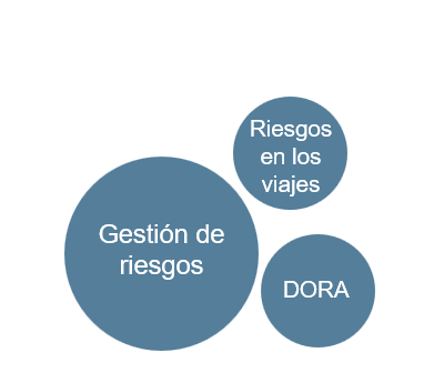 Tres círculos azules de distintos tamaños etiquetados como "Gestión de riesgos", "Riesgos en los viajes" y "DORA", que representan distintas categorías o aspectos de la gestión de riesgos en español.
